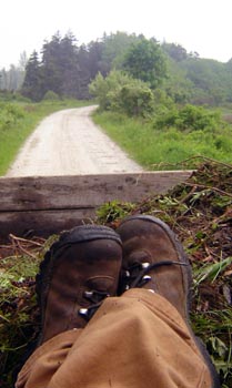 boots